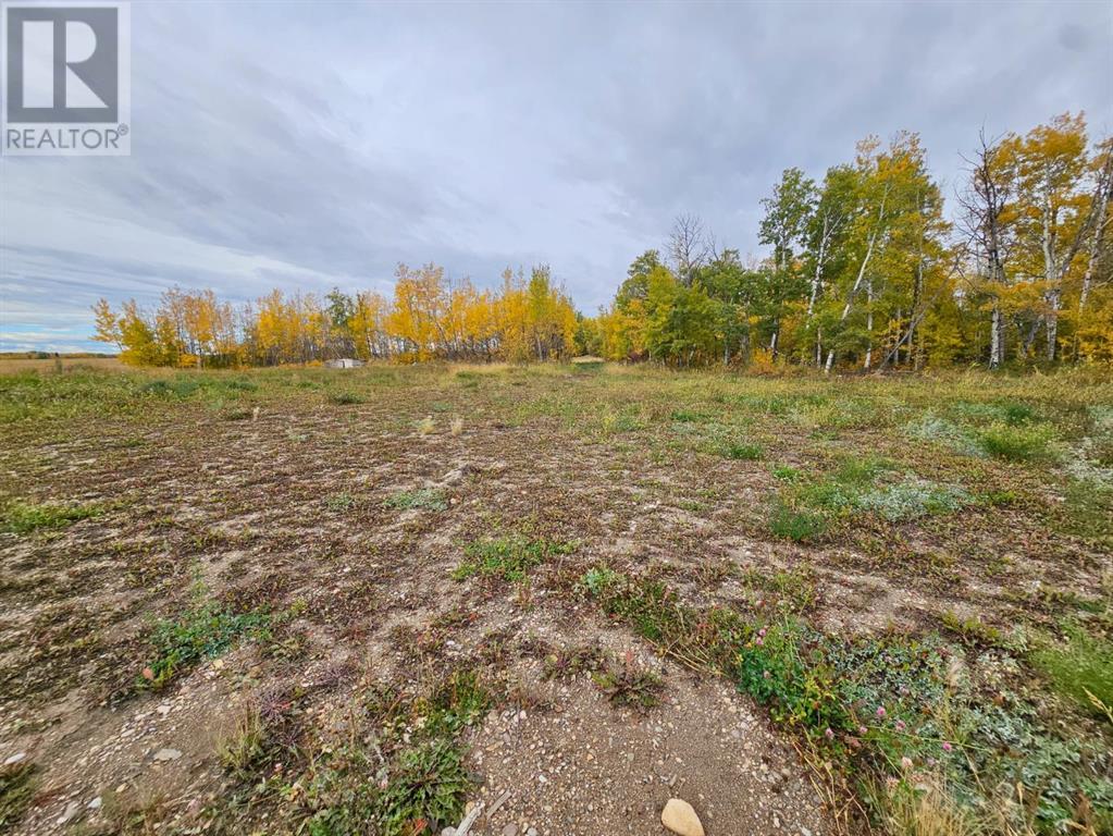 68362 43 Highway, Valleyview, Alberta  T0H 3N0 - Photo 25 - A2169426