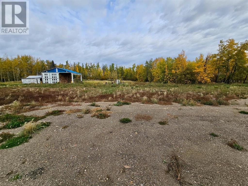 68362 43 Highway, Valleyview, Alberta  T0H 3N0 - Photo 21 - A2169426