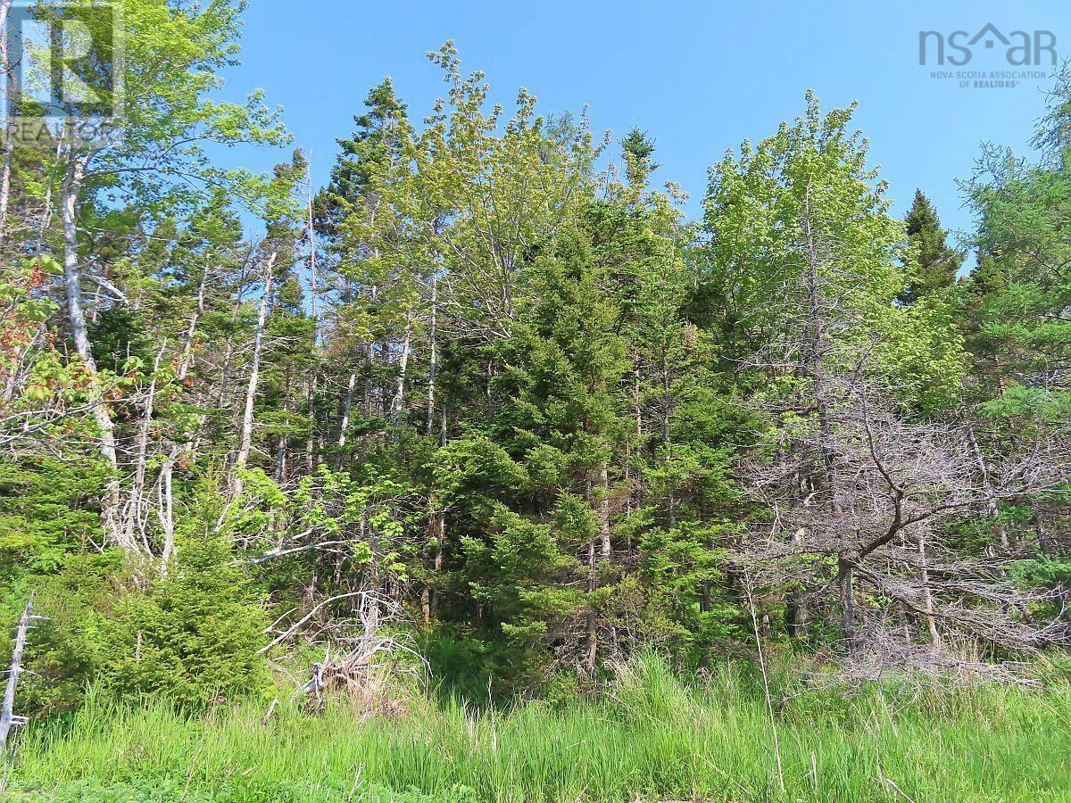 Lots 23-1 & 26 Perry Lane, Lennox Passage, Nova Scotia  B0E 1K0 - Photo 19 - 202516186