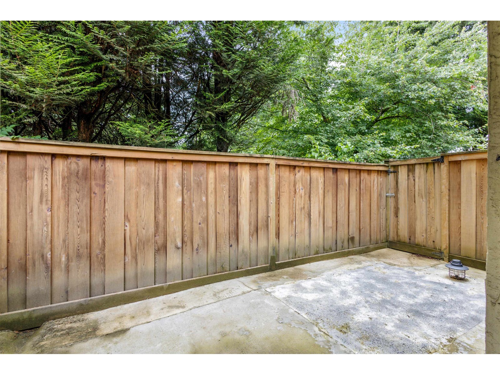 29 3075 Trethewey Street, Abbotsford, British Columbia  V2T 3R4 - Photo 25 - R3018853