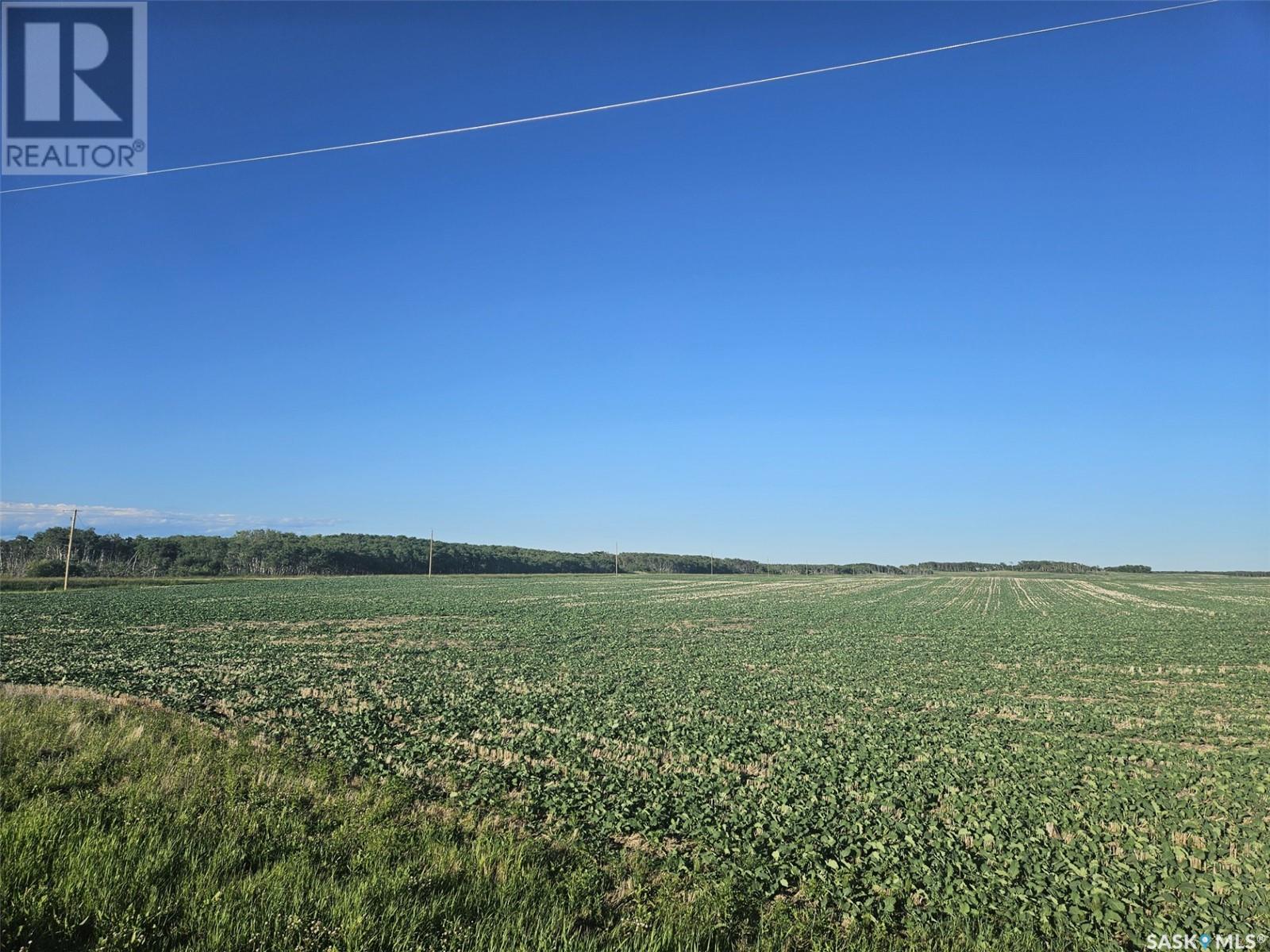 Lindemann Farm, south qu'appelle rm no. 157, Saskatchewan