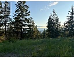 980 Bullmoose Way, osoyoos, British Columbia