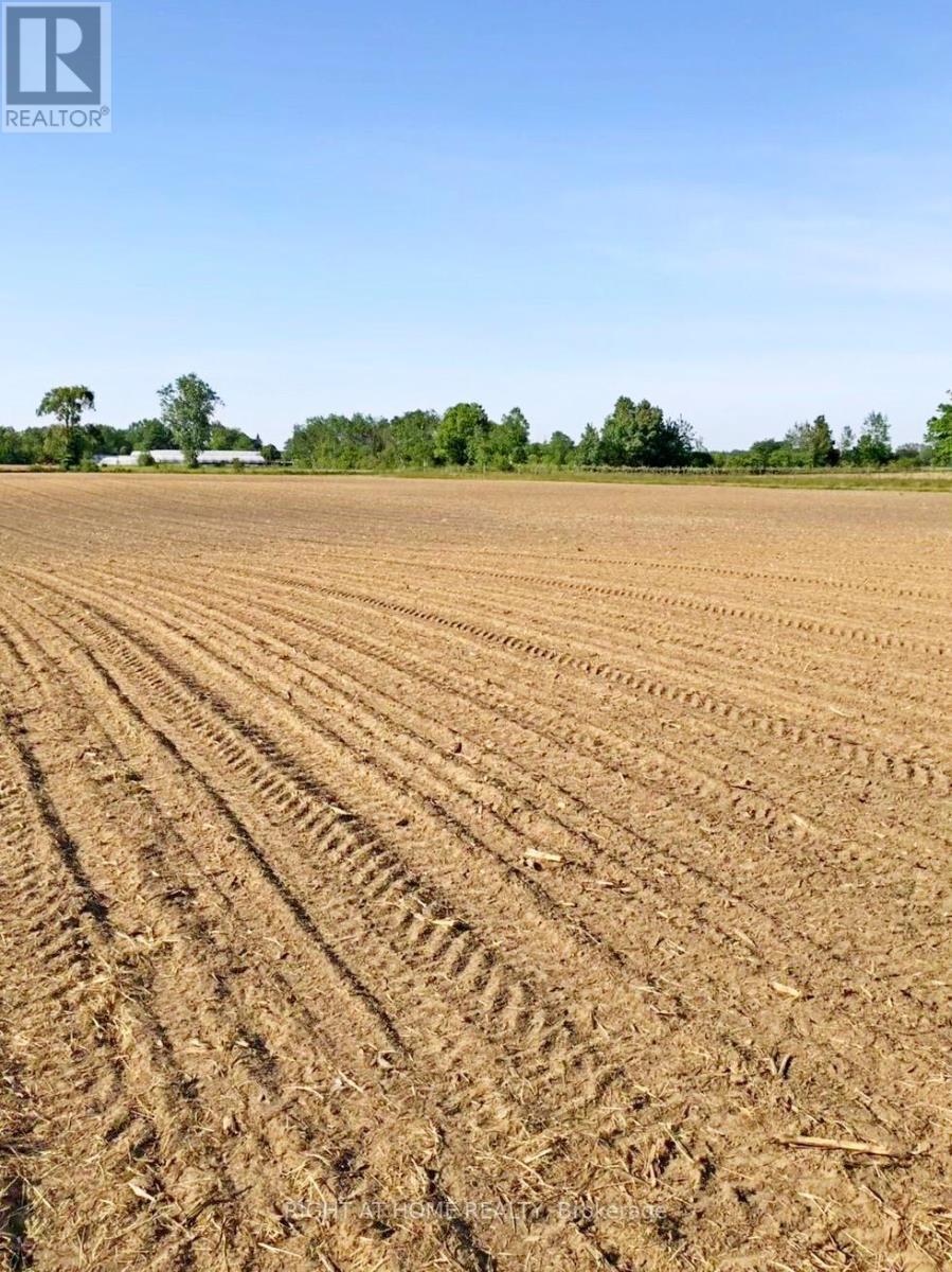 43670 Sider Road, Wainfleet (Marshville/winger), Ontario  L0S 1V0 - Photo 19 - X12254162