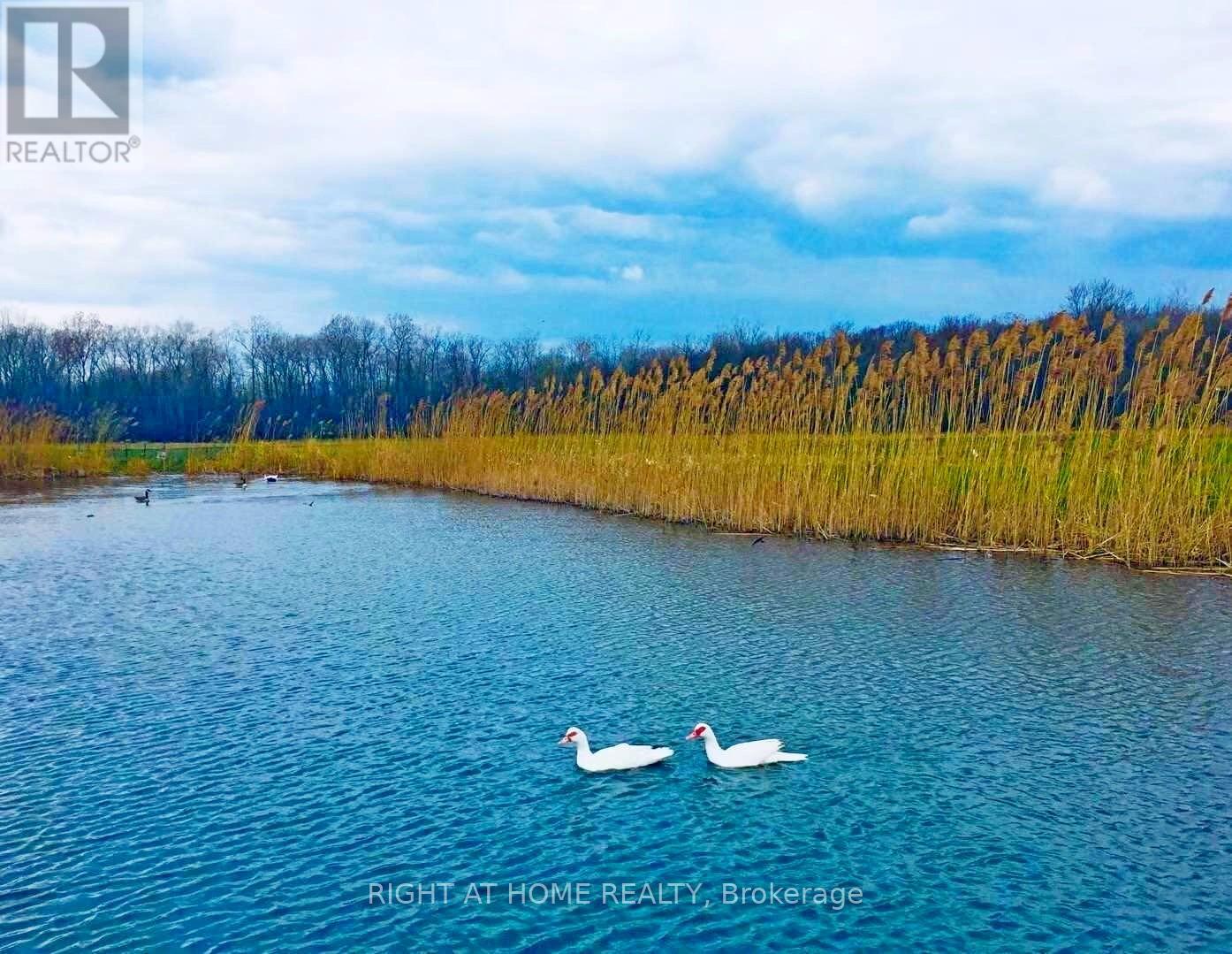 43670 Sider Road, Wainfleet (Marshville/winger), Ontario  L0S 1V0 - Photo 6 - X12254162