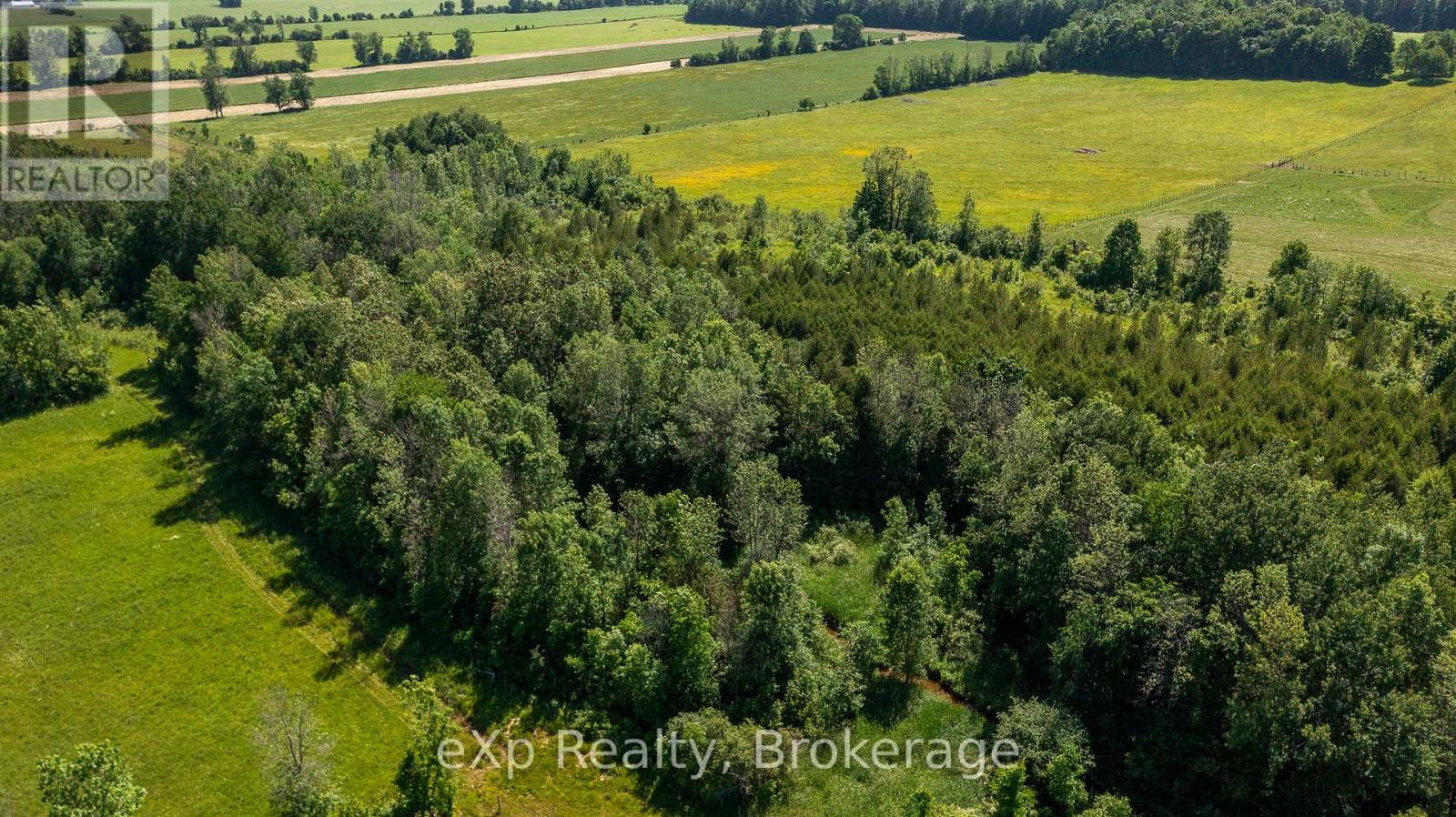 701768 5 Side Road, Chatsworth, Ontario  N0H 1K0 - Photo 42 - X12243945
