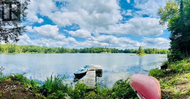 60 Hawksview Lane, Seguin, Ontario  P2A 0B2 - Photo 34 - X12254532