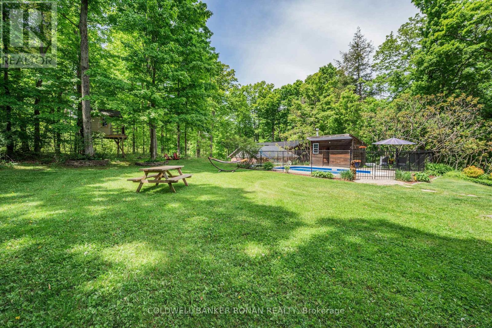 38 Big Tree Circle, Mulmur, Ontario  L0M 1M0 - Photo 46 - X12254529