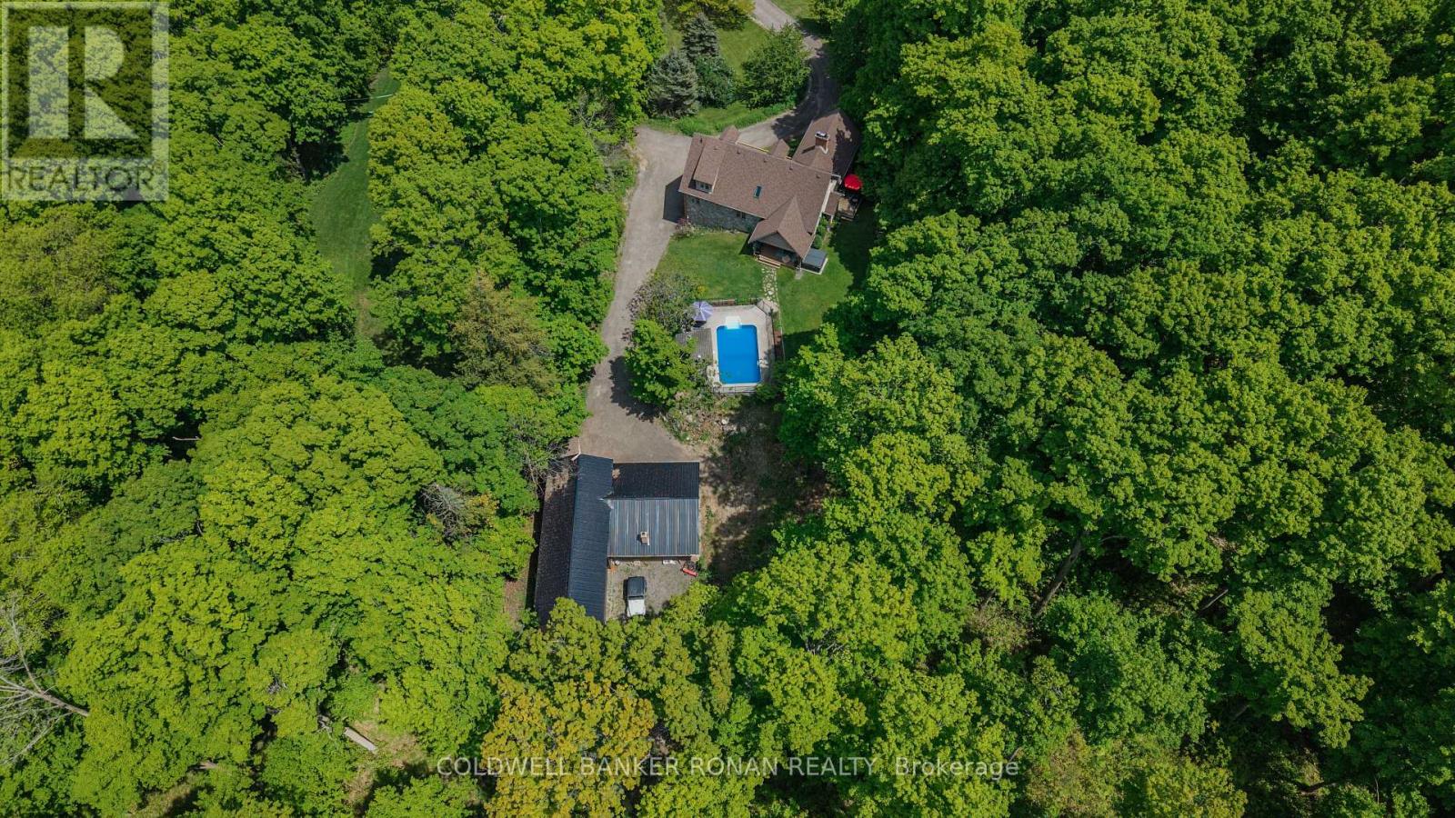 38 Big Tree Circle, Mulmur, Ontario  L0M 1M0 - Photo 50 - X12254529