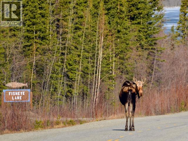 620 Yates Crescent, Faro, Yukon  Y0B 1K0 - Photo 32 - 16595