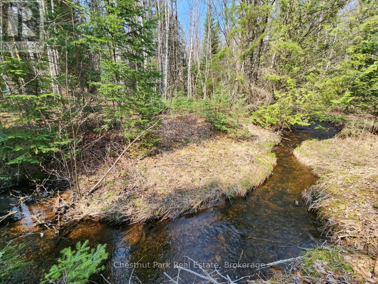 730 Echo Ridge Road, Kearney, Ontario  P0A 1M0 - Photo 10 - X12058185