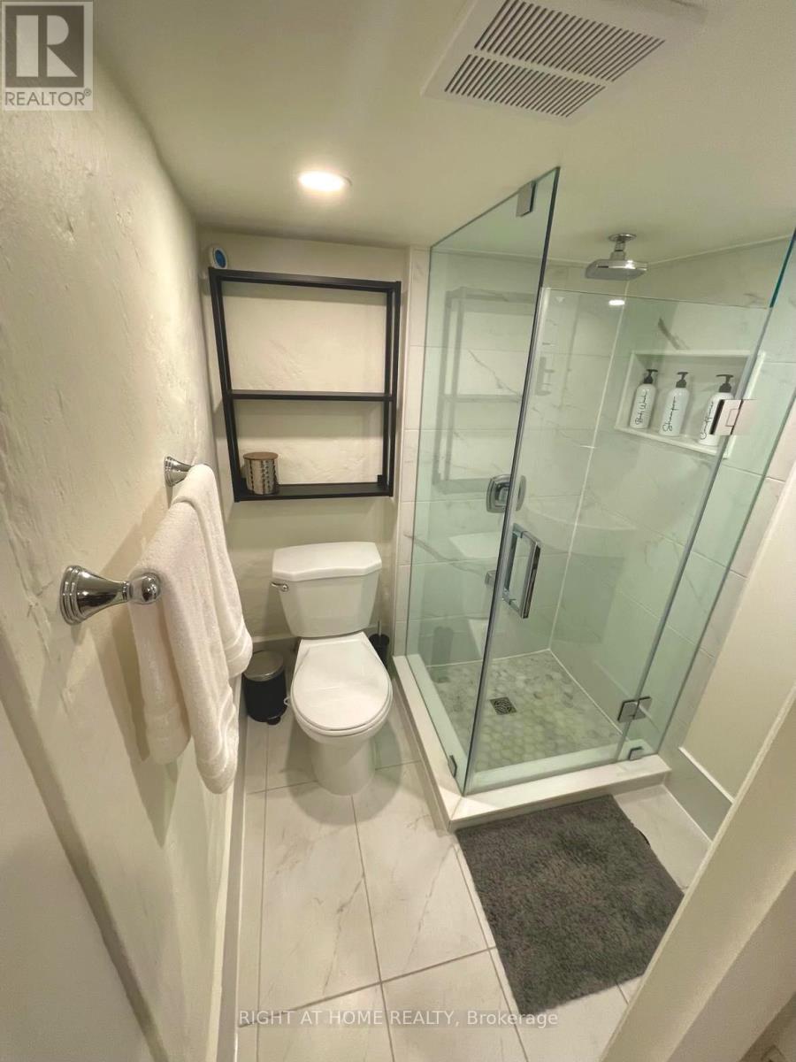 Basement - 1054 Dufferin Street, Toronto, Ontario  M6H 4B6 - Photo 4 - W12254793