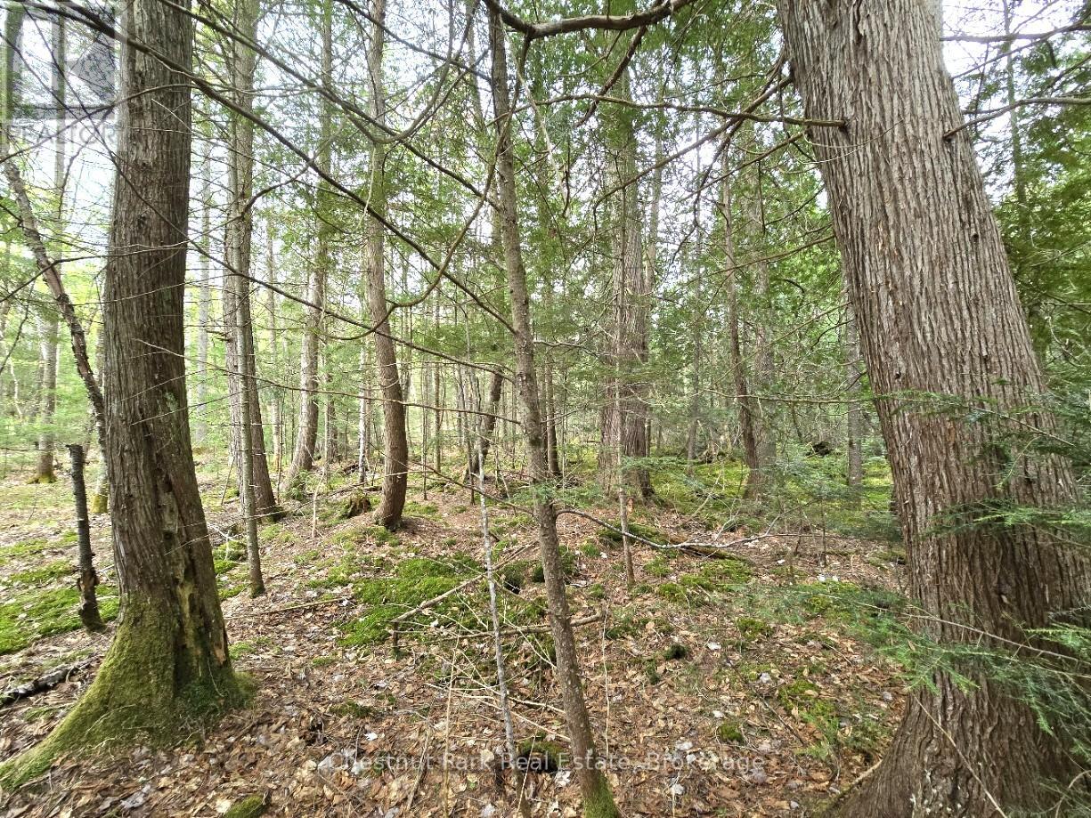 Part 1 Echo Ridge Road, Kearney, Ontario  P0A 1M0 - Photo 8 - X12156746
