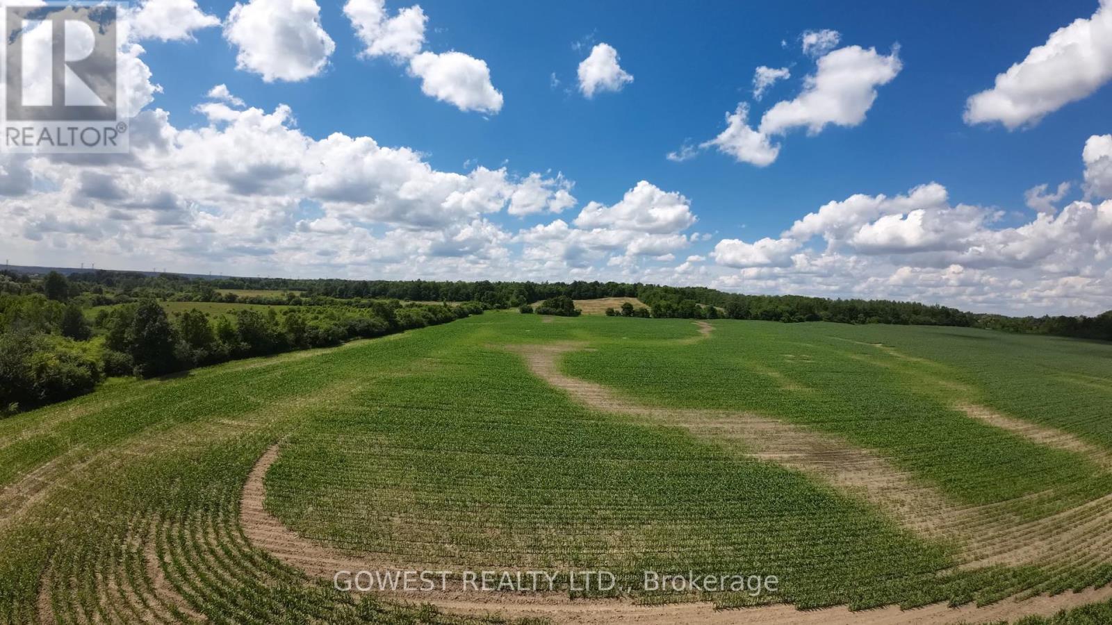 8482 Sixth Line, Halton Hills (Rural Halton Hills), Ontario  L7G 4S6 - Photo 9 - W12254802