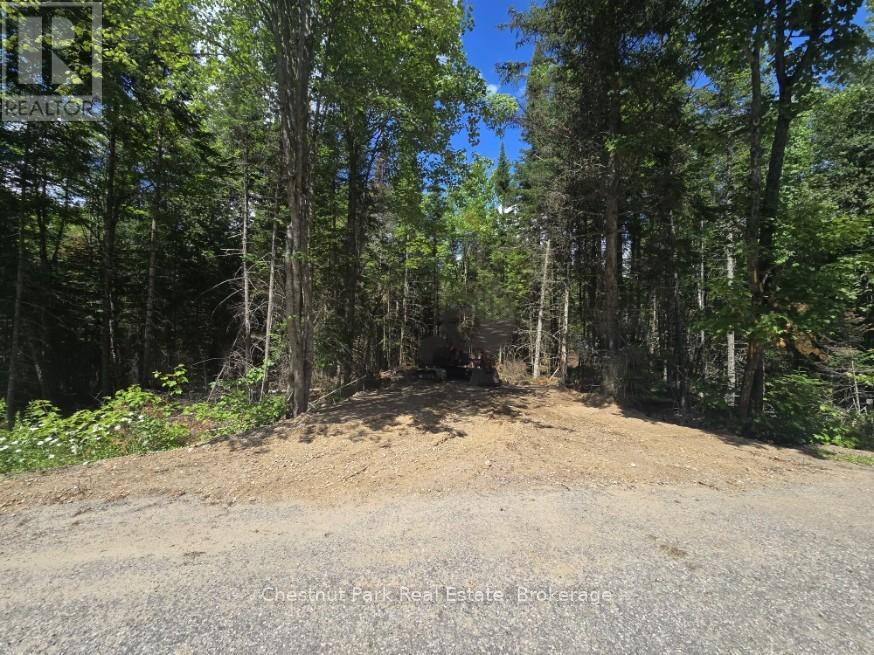 1366 Echo Ridge Road, Kearney, Ontario  P0A 1M0 - Photo 3 - X12156749