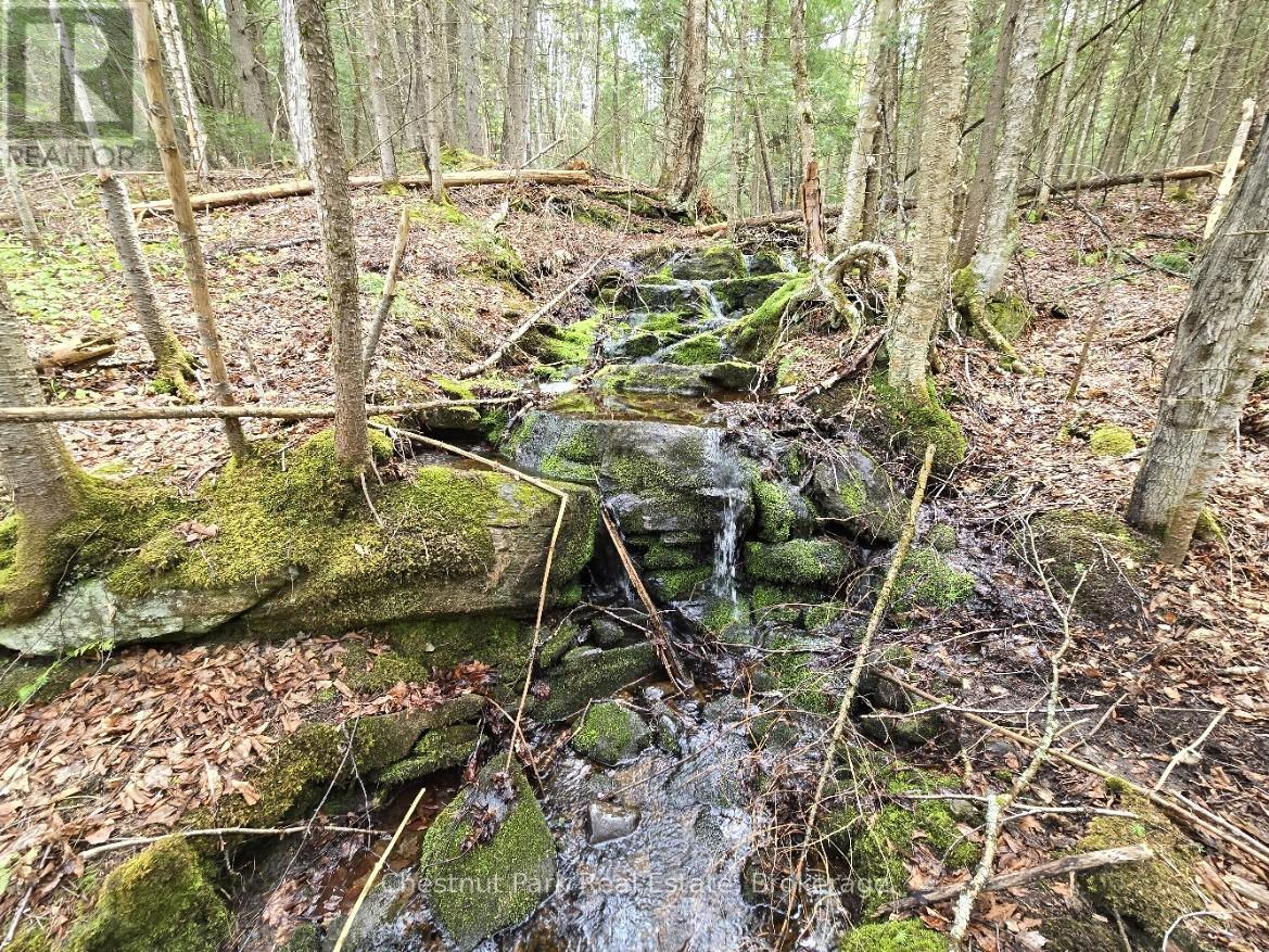 Part 7 Echo Ridge Road, Kearney, Ontario  P0A 1M0 - Photo 11 - X12156747