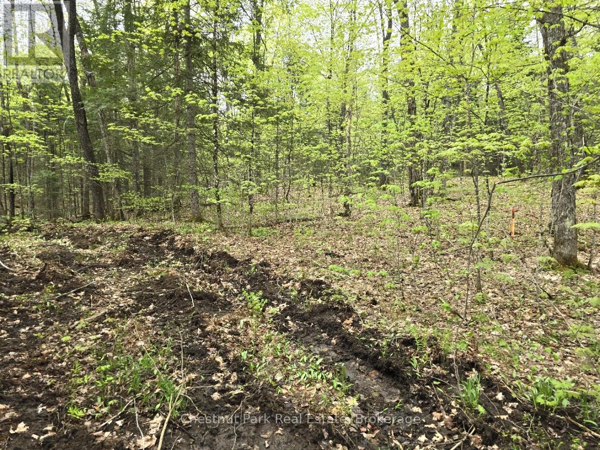 Part 7 Echo Ridge Road, Kearney, Ontario  P0A 1M0 - Photo 16 - X12156747