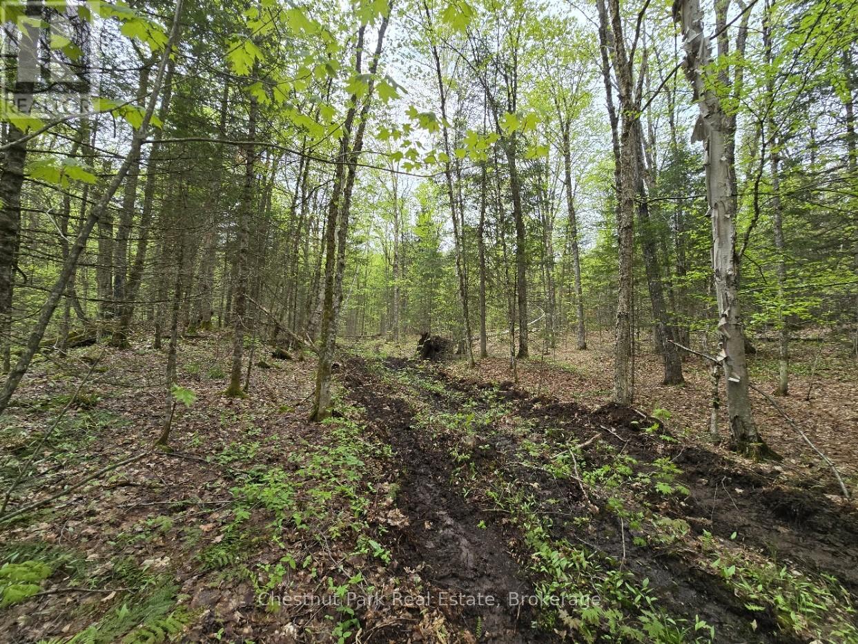 Part 7 Echo Ridge Road, Kearney, Ontario  P0A 1M0 - Photo 19 - X12156747