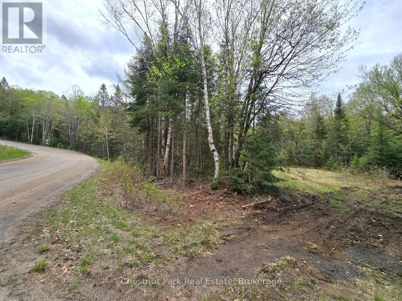 1397 Echo Ridge Road, Kearney, Ontario  P0A 1M0 - Photo 4 - X12156747