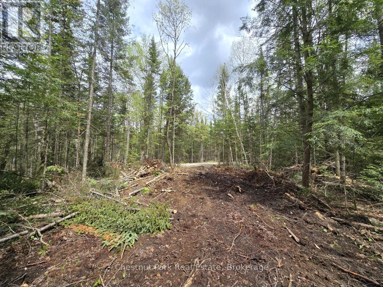 Part 5 Echo Ridge Road, Kearney, Ontario  P0A 1M0 - Photo 11 - X12156748