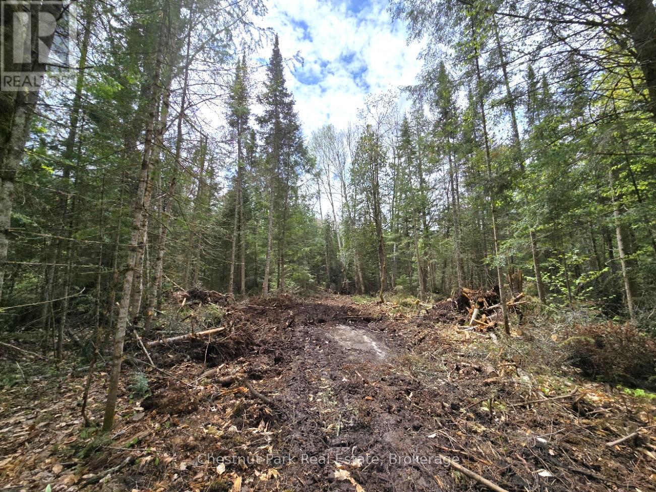 Part 5 Echo Ridge Road, Kearney, Ontario  P0A 1M0 - Photo 13 - X12156748