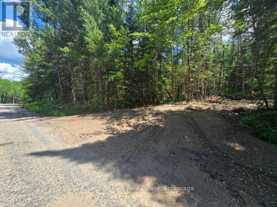 1363 Echo Ridge Road, Kearney, Ontario  P0A 1M0 - Photo 2 - X12156748