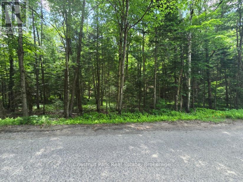 Part 5 Echo Ridge Road, Kearney, Ontario  P0A 1M0 - Photo 25 - X12156748