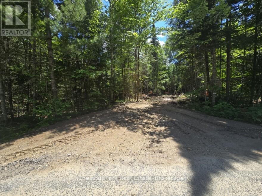 1363 Echo Ridge Road, Kearney, Ontario  P0A 1M0 - Photo 3 - X12156748