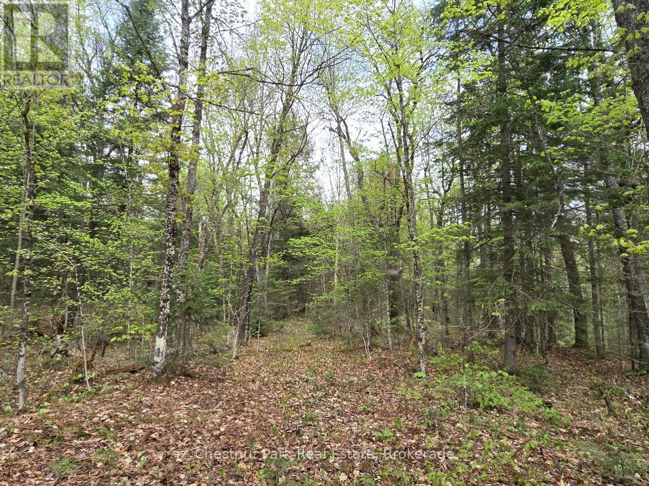 Part 4 Echo Ridge Road, Kearney, Ontario  P0A 1M0 - Photo 15 - X12156751