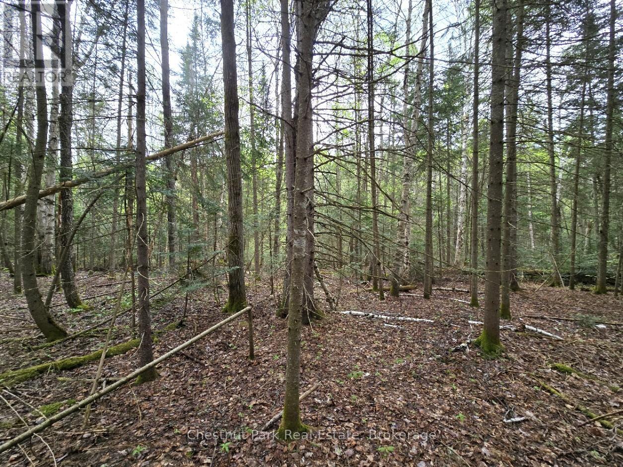 Part 4 Echo Ridge Road, Kearney, Ontario  P0A 1M0 - Photo 20 - X12156751