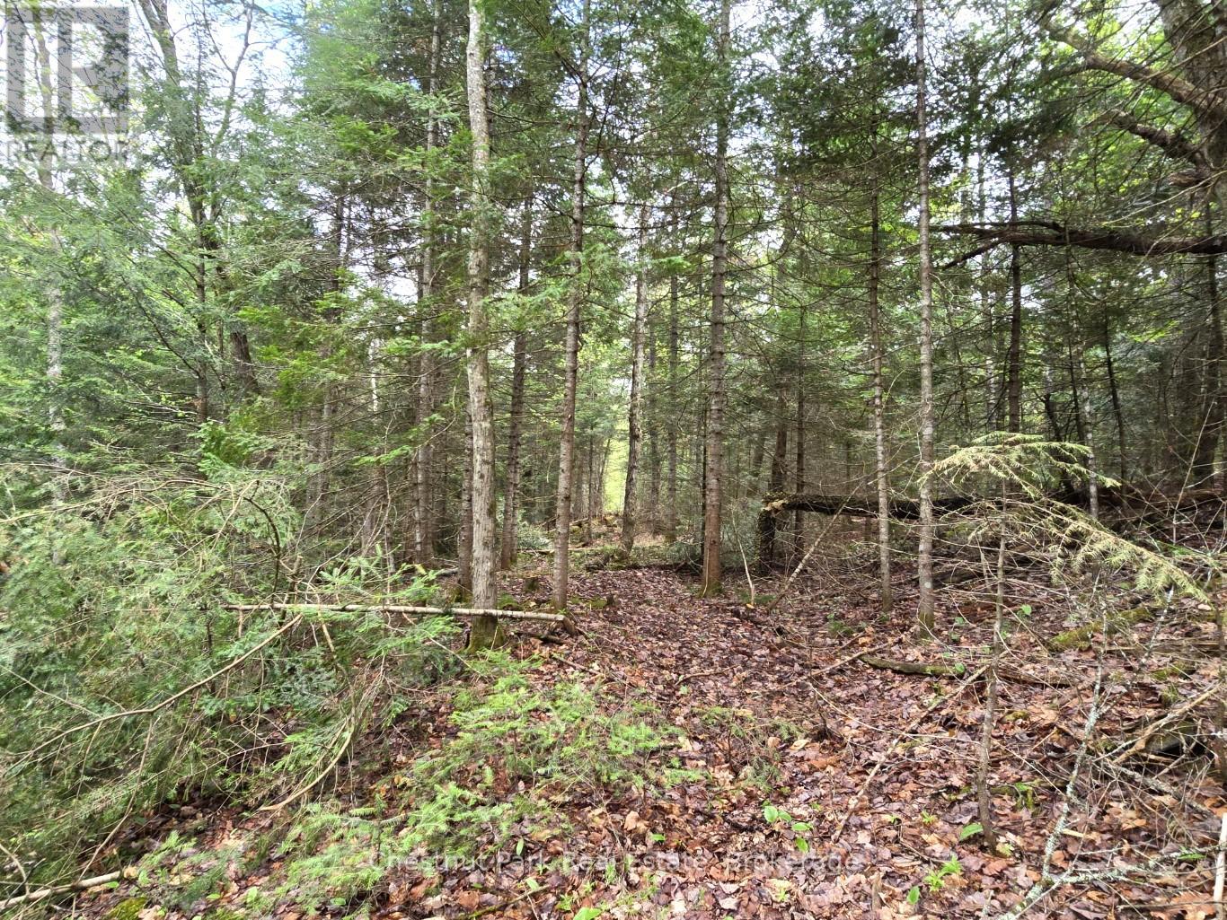 Part 4 Echo Ridge Road, Kearney, Ontario  P0A 1M0 - Photo 26 - X12156751