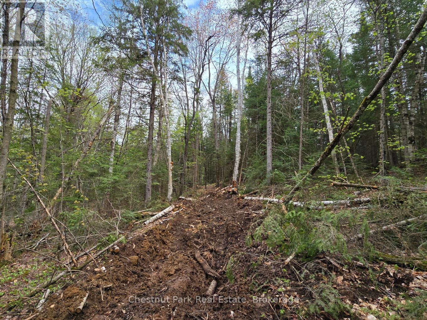 Part 4 Echo Ridge Road, Kearney, Ontario  P0A 1M0 - Photo 33 - X12156751