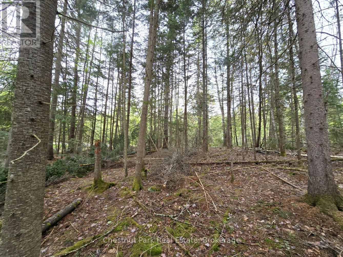 Part 4 Echo Ridge Road, Kearney, Ontario  P0A 1M0 - Photo 19 - X12156751
