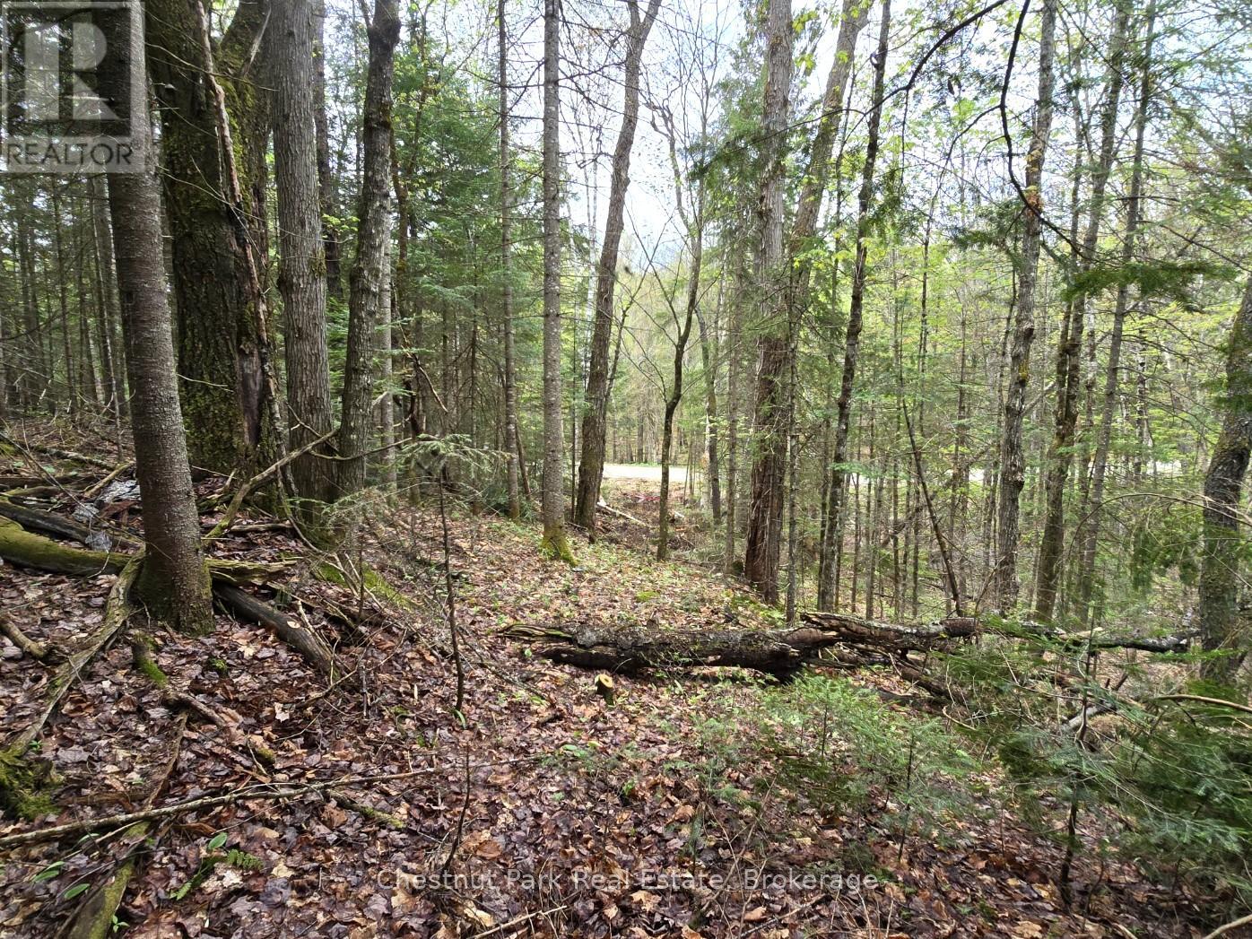 Part 4 Echo Ridge Road, Kearney, Ontario  P0A 1M0 - Photo 10 - X12156751
