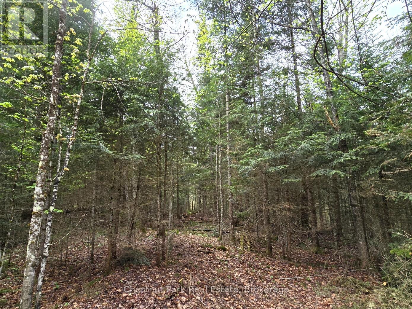 Part 4 Echo Ridge Road, Kearney, Ontario  P0A 1M0 - Photo 14 - X12156751