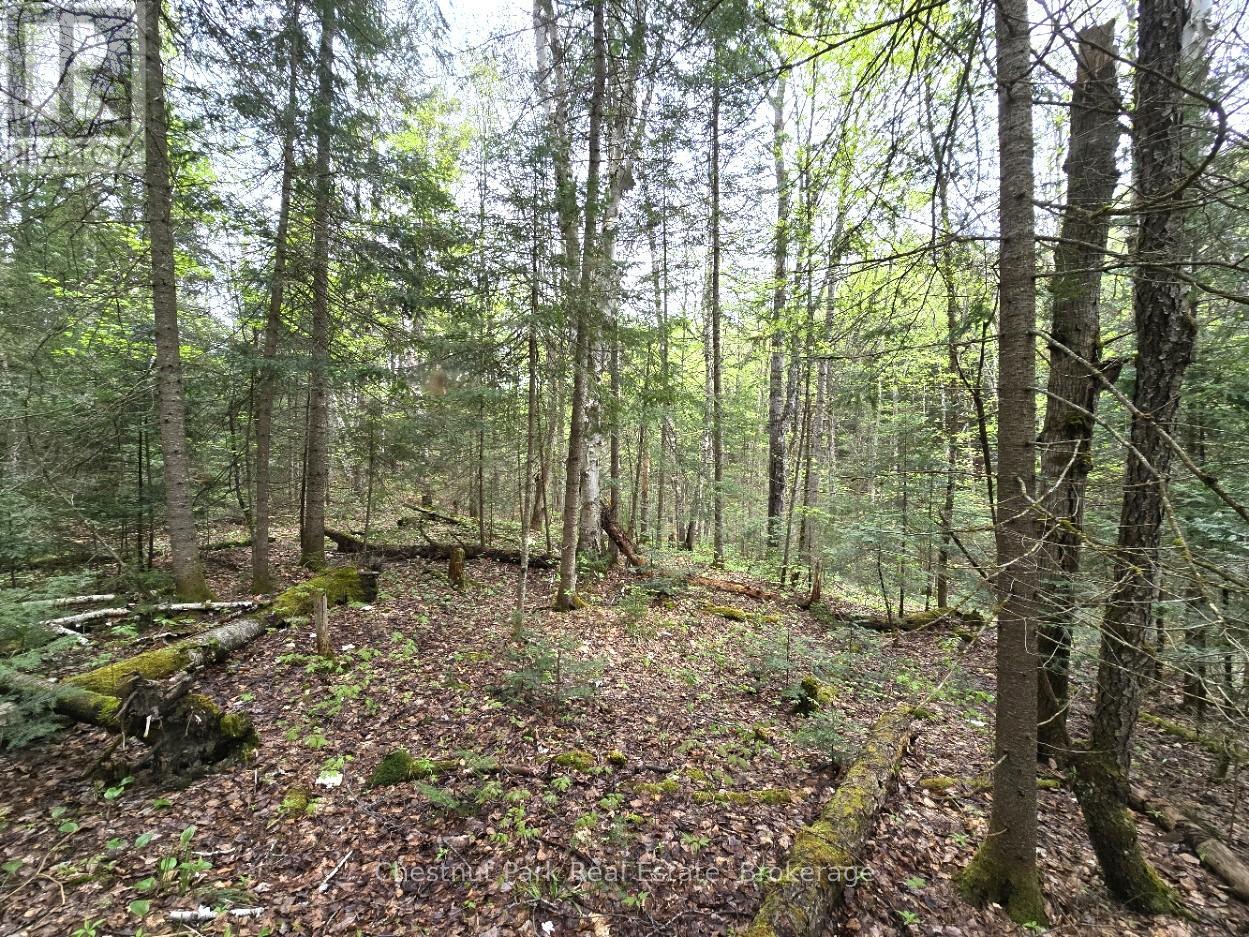 Part 4 Echo Ridge Road, Kearney, Ontario  P0A 1M0 - Photo 36 - X12156751