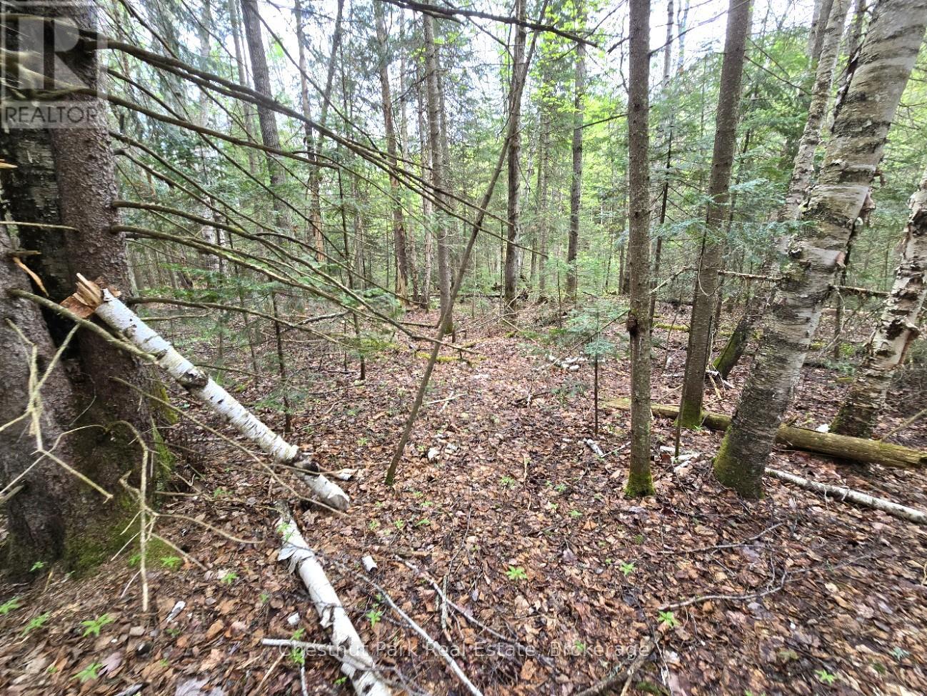 Part 4 Echo Ridge Road, Kearney, Ontario  P0A 1M0 - Photo 21 - X12156751
