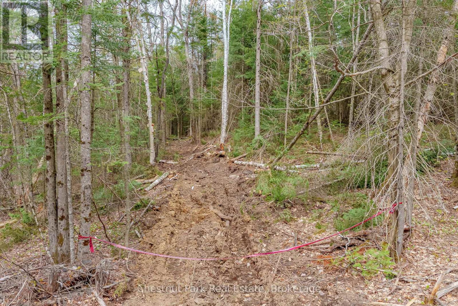 Part 4 Echo Ridge Road, Kearney, Ontario  P0A 1M0 - Photo 37 - X12156751