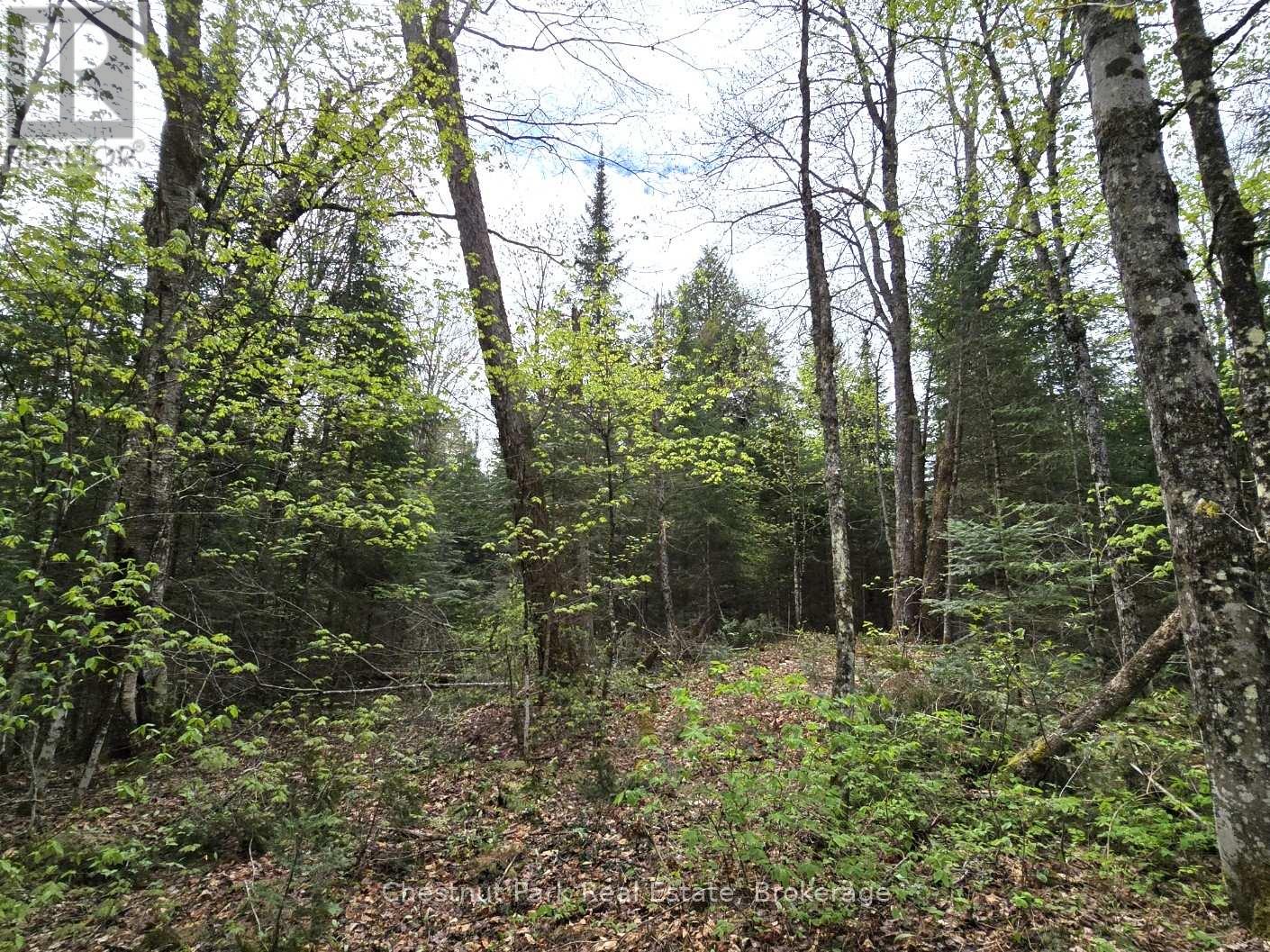 Part 4 Echo Ridge Road, Kearney, Ontario  P0A 1M0 - Photo 16 - X12156751