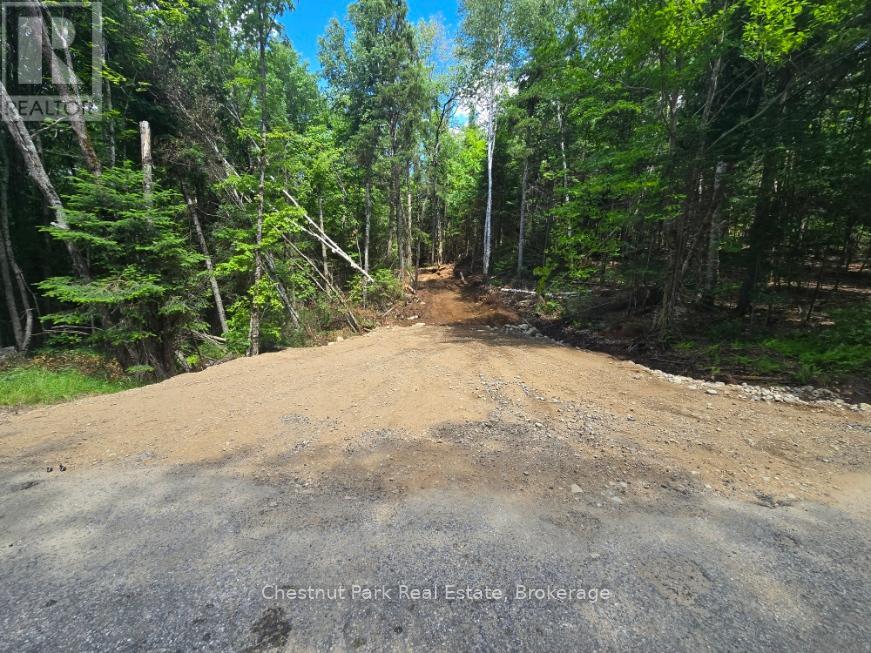 Part 4 Echo Ridge Road, Kearney, Ontario  P0A 1M0 - Photo 4 - X12156751