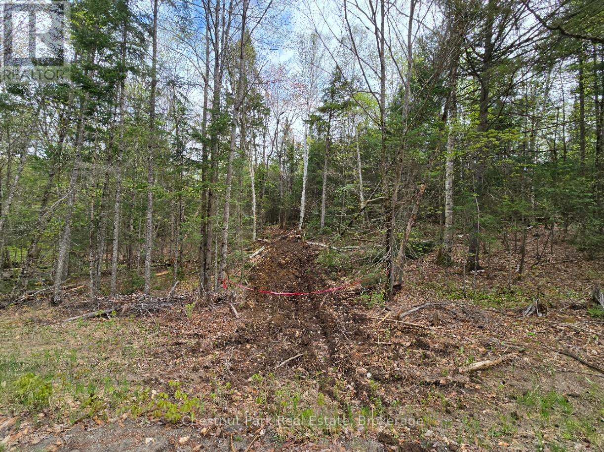 Part 4 Echo Ridge Road, Kearney, Ontario  P0A 1M0 - Photo 8 - X12156751