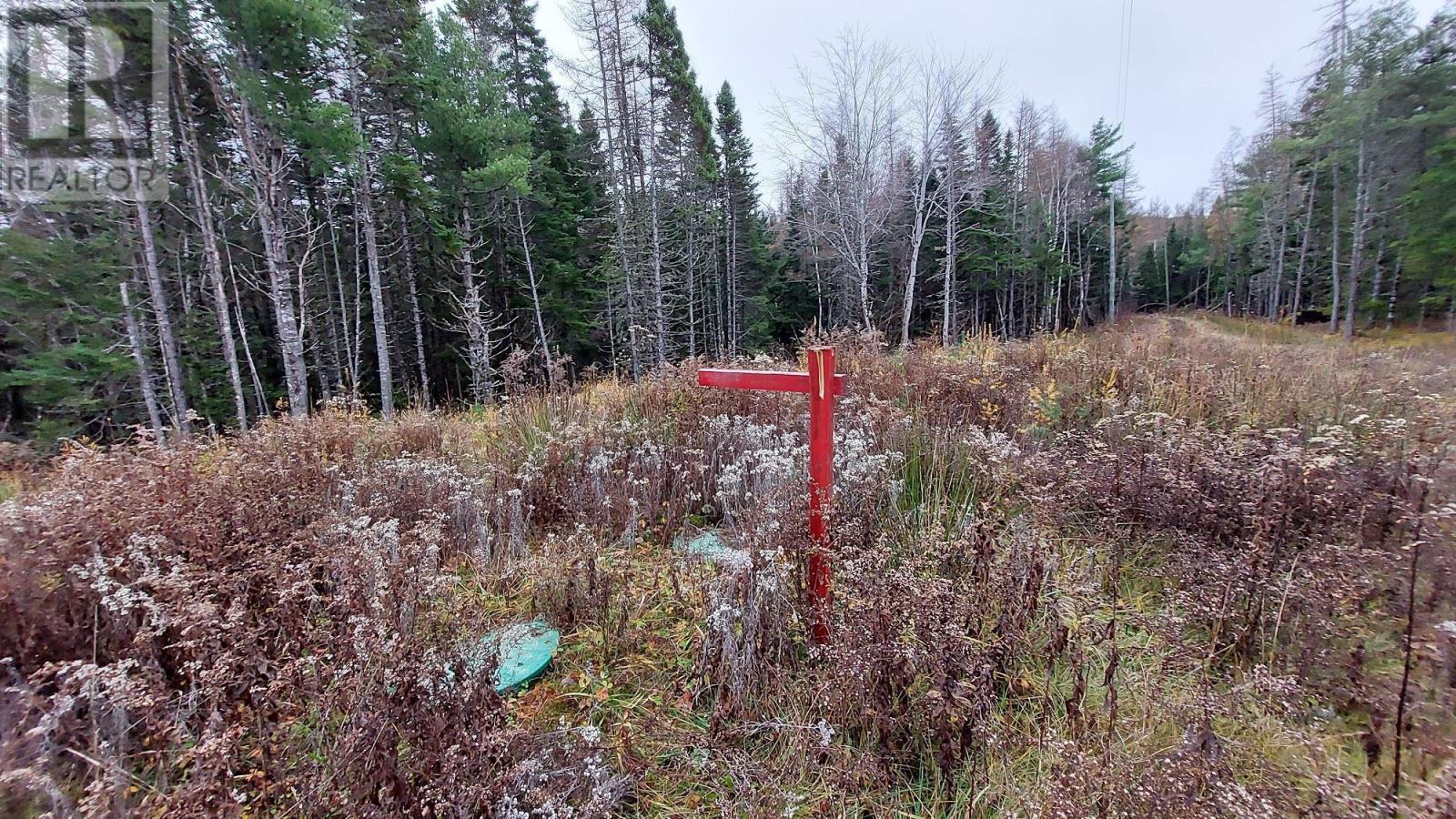 2281 South S River Denys Rd, Valley Mills, Nova Scotia  B0E 2Y0 - Photo 15 - 202508380
