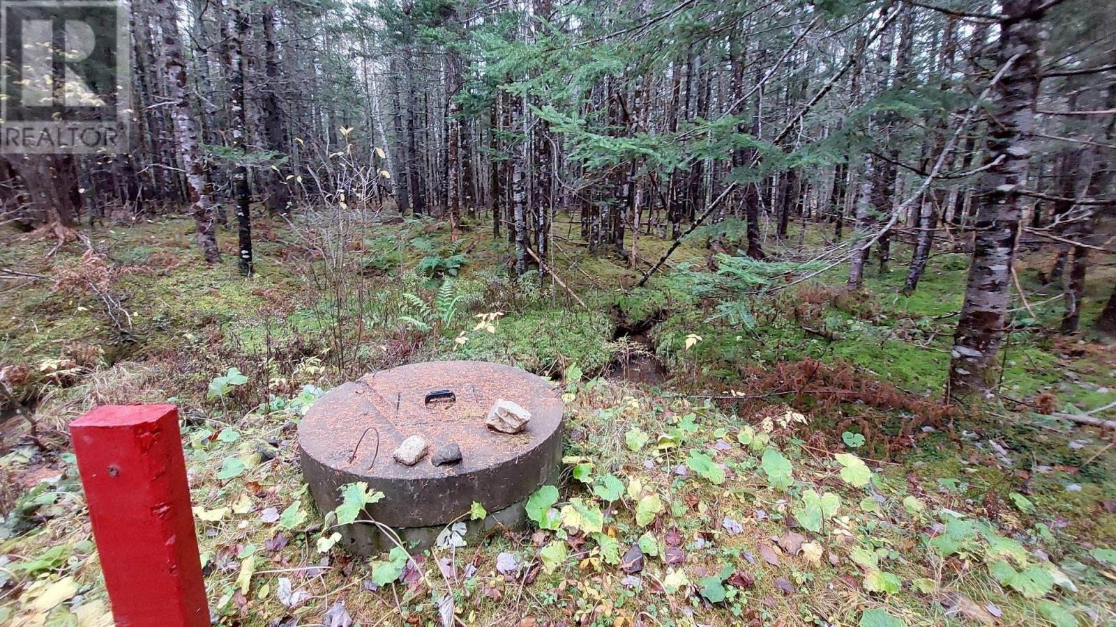 2281 South S River Denys Rd, Valley Mills, Nova Scotia  B0E 2Y0 - Photo 14 - 202508380