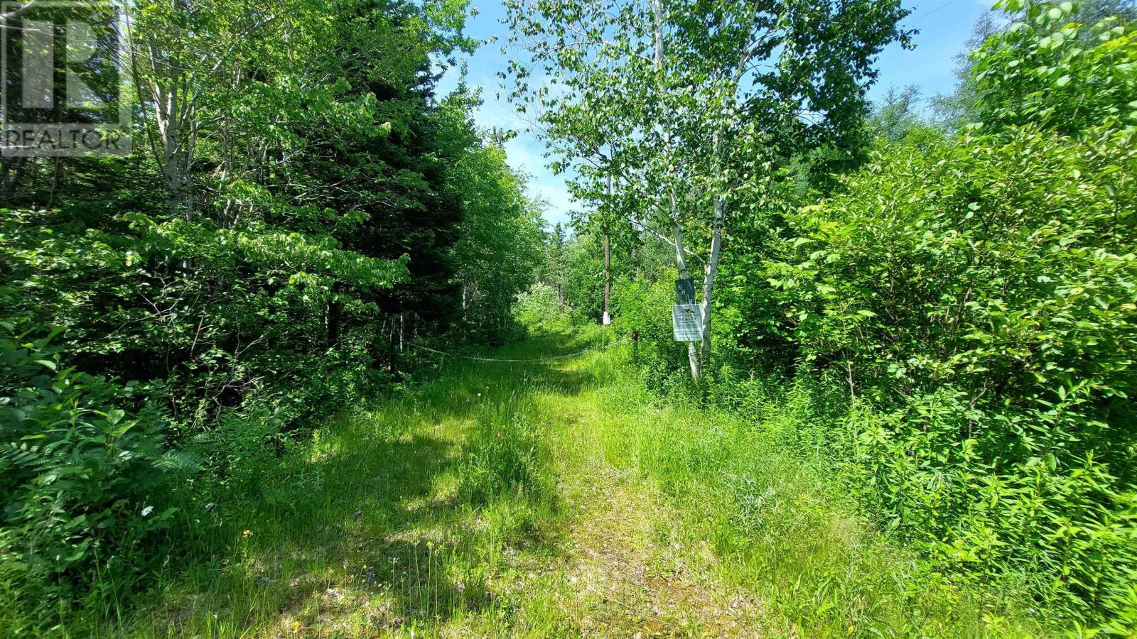 2281 South S River Denys Rd, Valley Mills, Nova Scotia  B0E 2Y0 - Photo 7 - 202508380