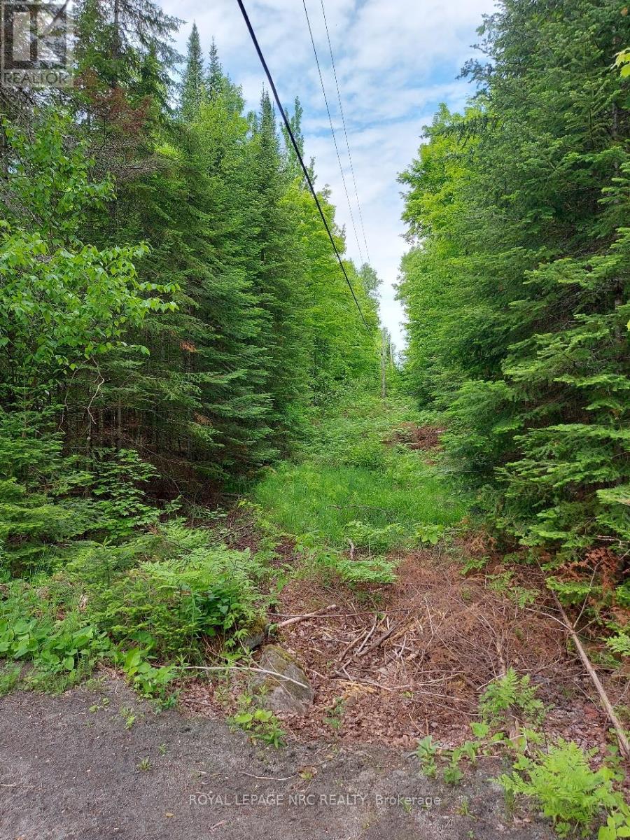 V/l Thomas Bolton Road, Dysart Et Al, Ontario  K0M 1S0 - Photo 2 - X12255074