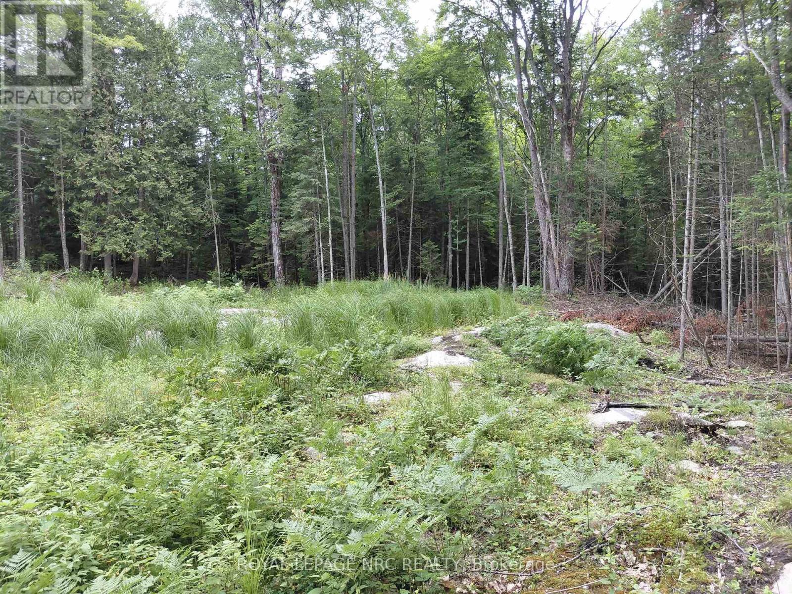 V/l Thomas Bolton Road, Dysart Et Al, Ontario  K0M 1S0 - Photo 3 - X12255074