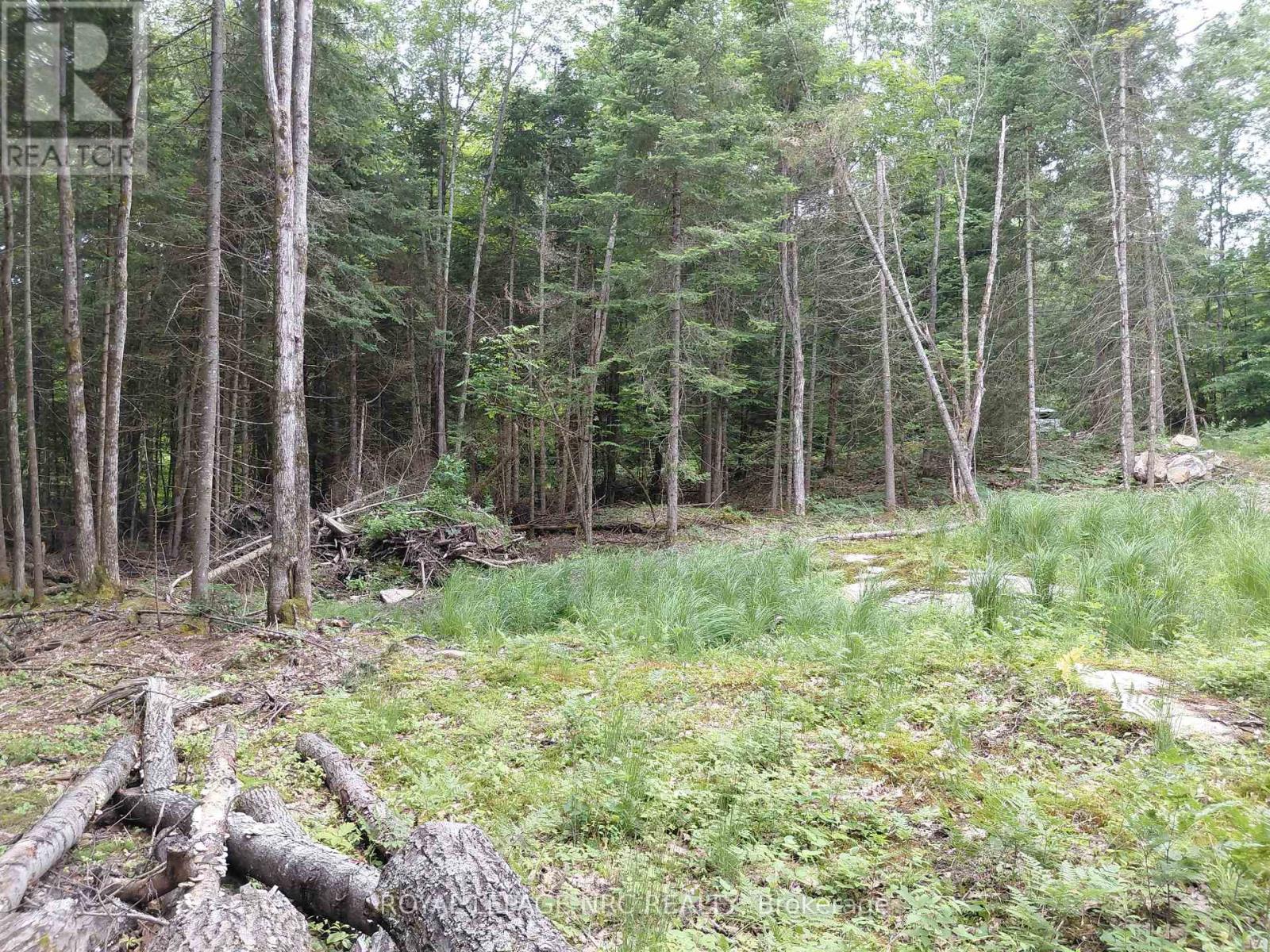 V/l Thomas Bolton Road, Dysart Et Al, Ontario  K0M 1S0 - Photo 4 - X12255074