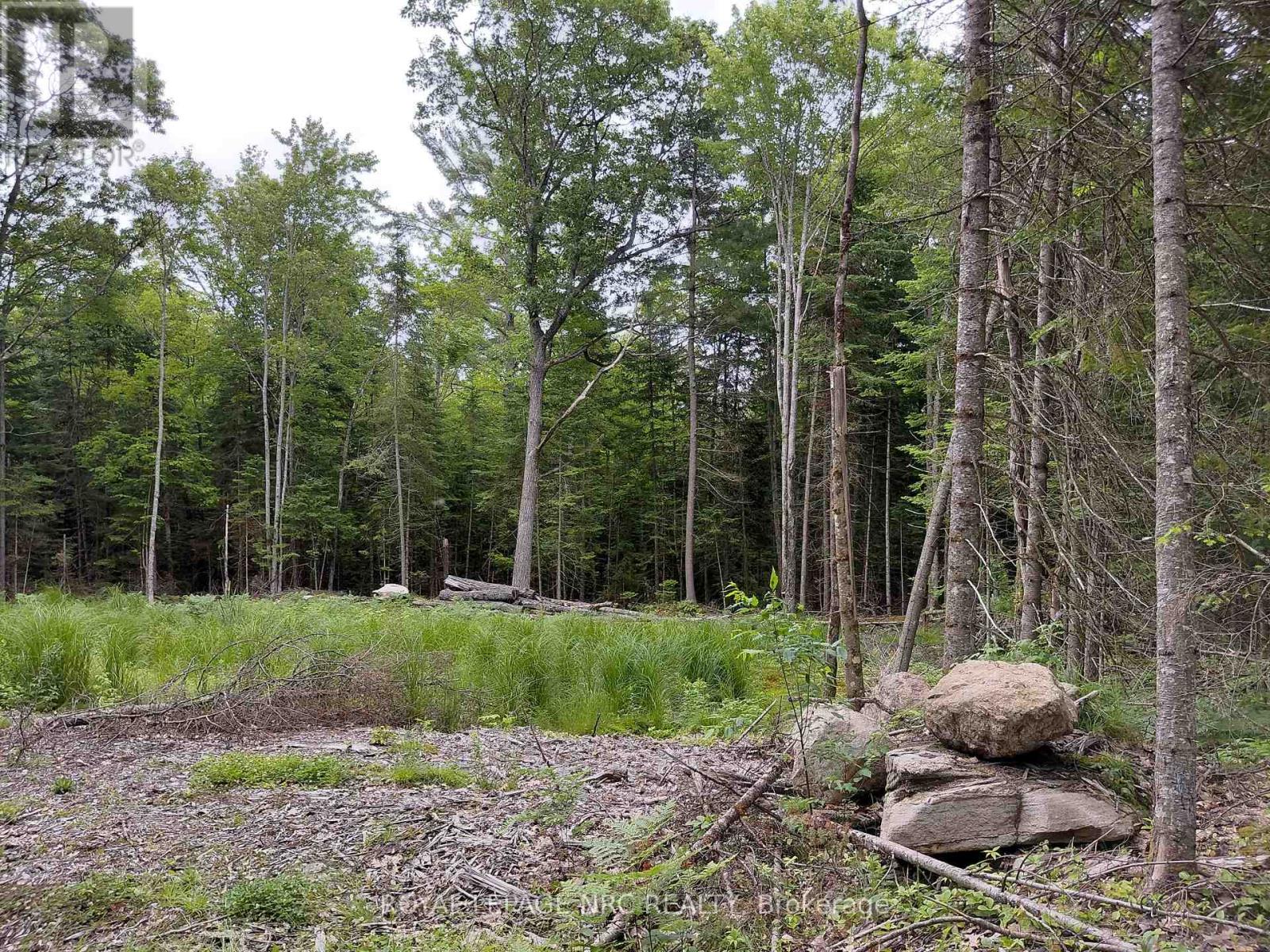 V/l Thomas Bolton Road, Dysart Et Al, Ontario  K0M 1S0 - Photo 5 - X12255074