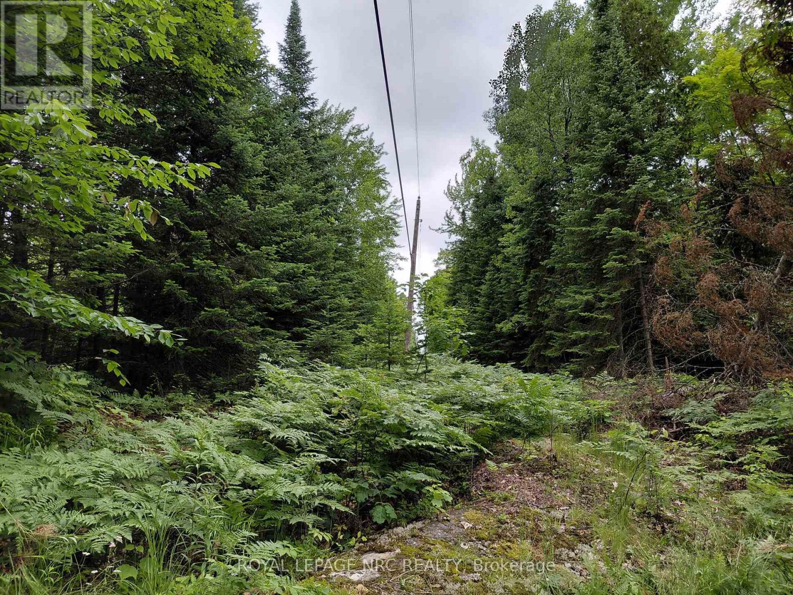 V/l Thomas Bolton Road, Dysart Et Al, Ontario  K0M 1S0 - Photo 6 - X12255074