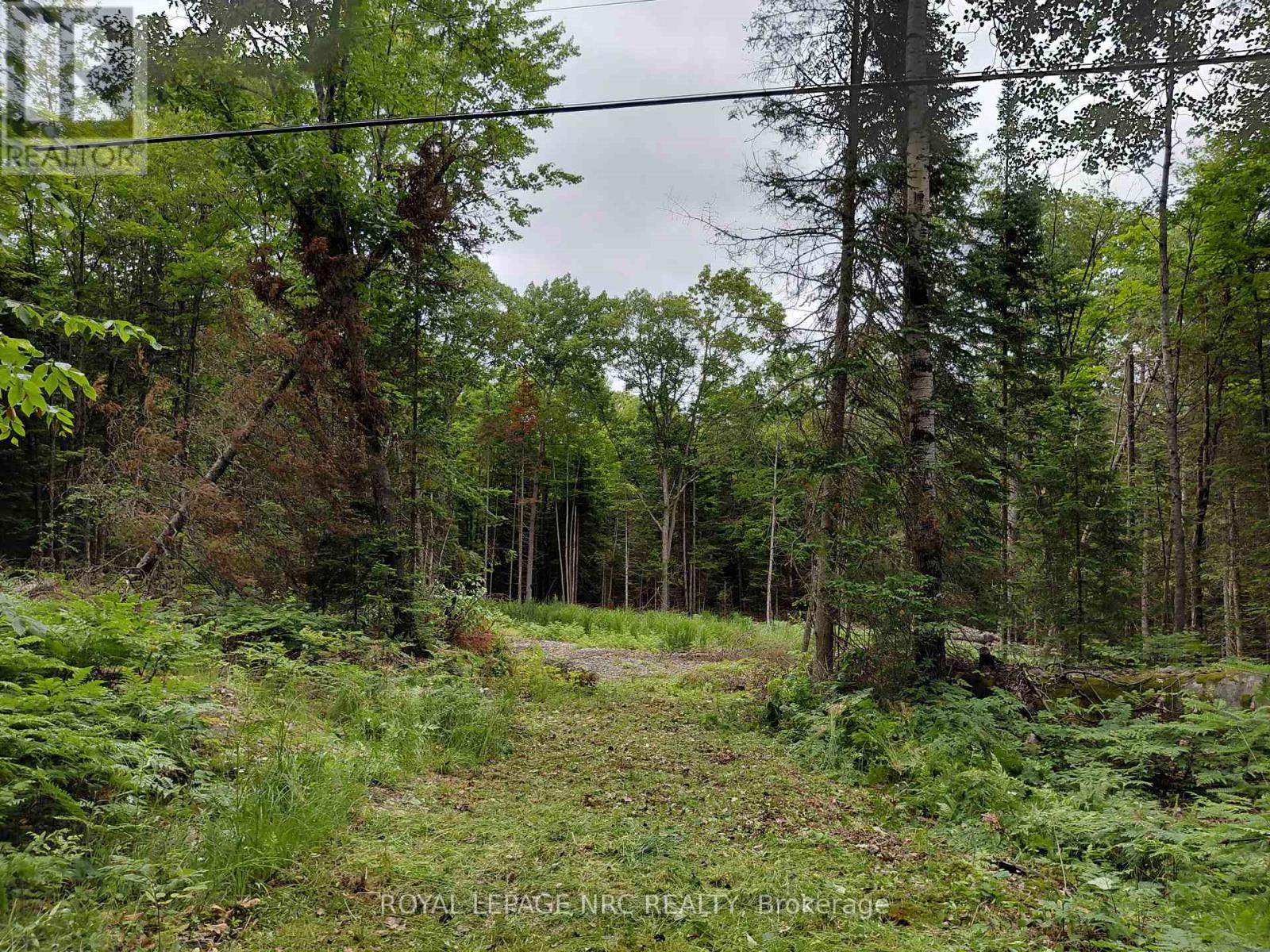 V/l Thomas Bolton Road, Dysart Et Al, Ontario  K0M 1S0 - Photo 7 - X12255074