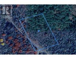 V/L THOMAS BOLTON ROAD, Dysart et al, Ontario